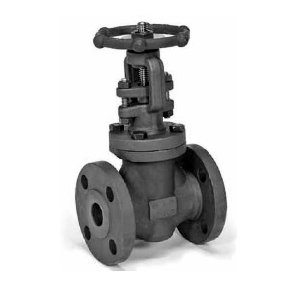 Gate Valve 1" Forged Steel A105 Class 300 Flanged OS&Y Conventional Port  Max Pressure 740 PSIG